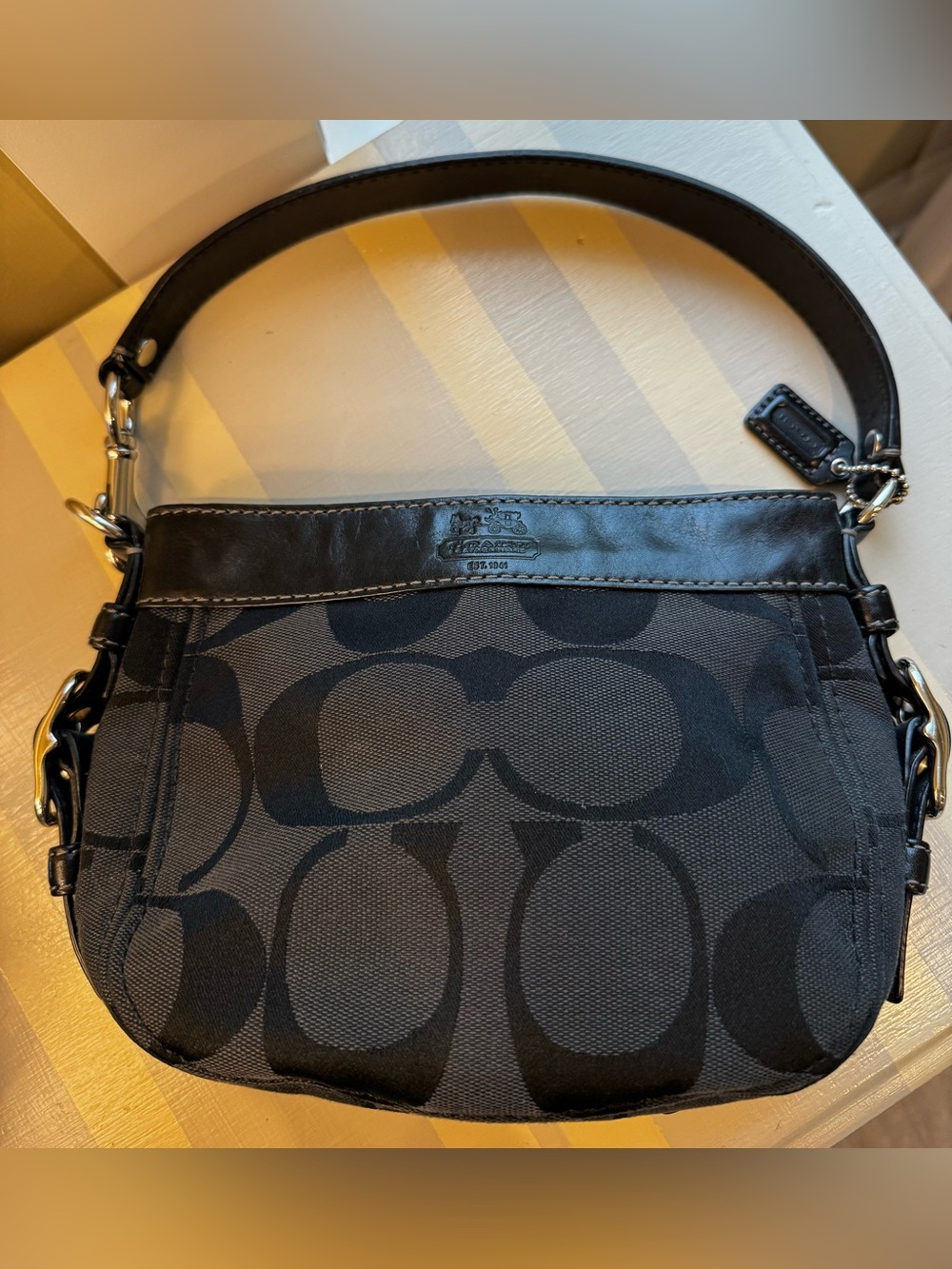 Coach Zoe Mini Hobo Shoulder Bag